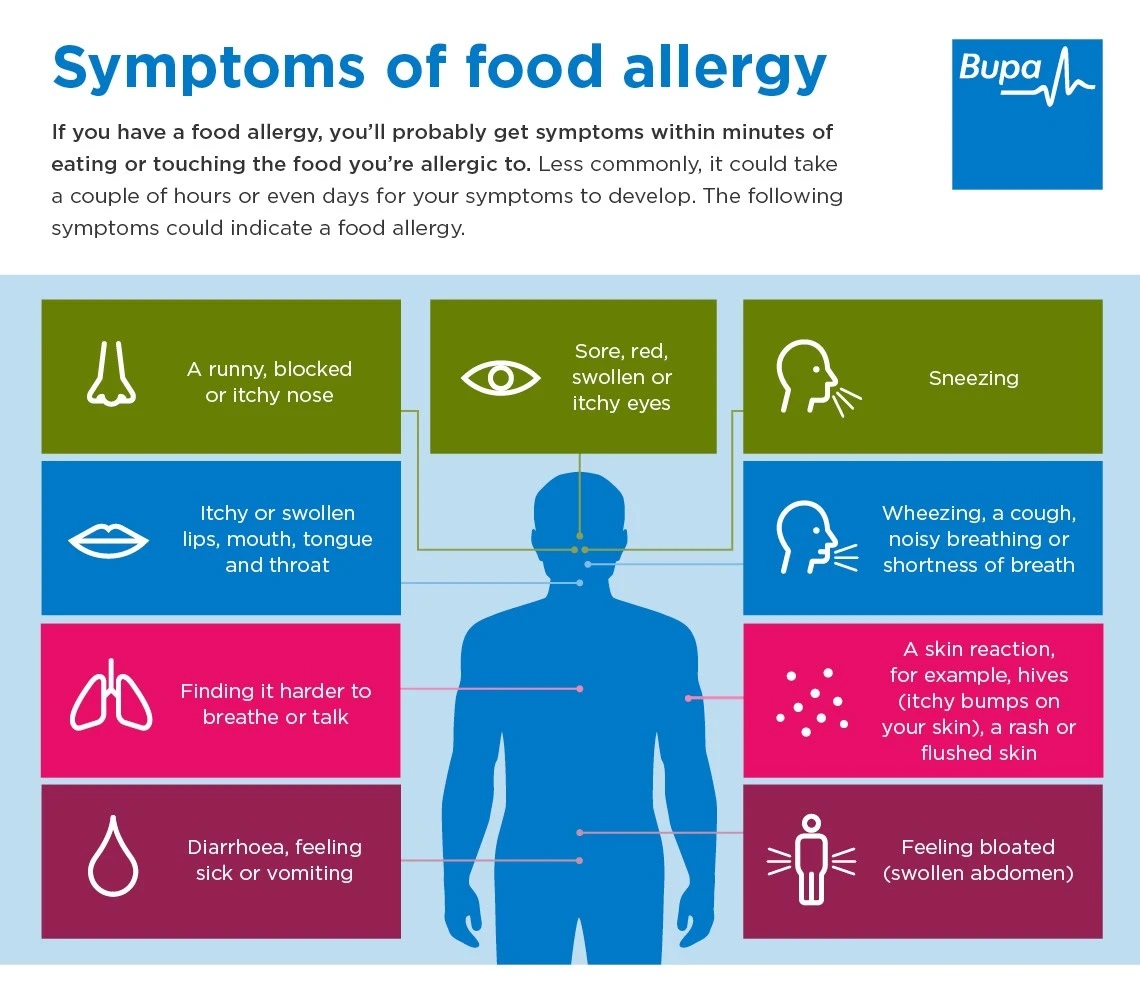 food-allergy_mv3rmf